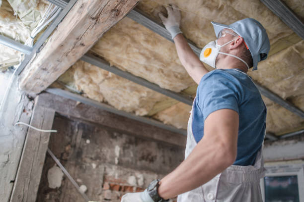 Best Types of Insulation in Snead, AL